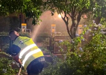 Παρεμβάσεις από τον Δήμο για τον ακανθώδη αλευρώδη