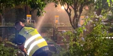 Παρεμβάσεις από τον Δήμο για τον ακανθώδη αλευρώδη