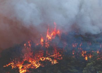 Αττική: Περίπου 700.000 στρέμματα κάηκαν μέσα σε 9 χρόνια