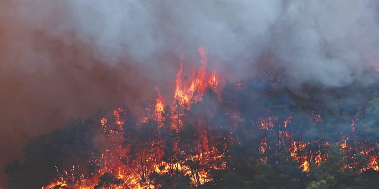Αττική: Περίπου 700.000 στρέμματα κάηκαν μέσα σε 9 χρόνια