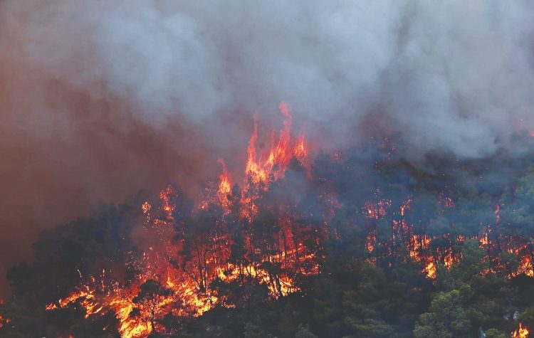 Αττική: Περίπου 700.000 στρέμματα κάηκαν μέσα σε 9 χρόνια