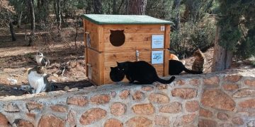 Δήμος Φιλοθέης - Ψυχικού: «Τα αδέσποτα ζώα μάς χρειάζονται περισσότερο αυτές τις μέρες»