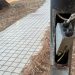 Φθορές σε κολώνες του δημοτικού φωτισμού