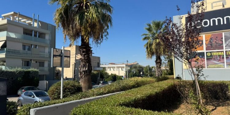 Σε εξέλιξη εργασίες εξωραϊσμού έξω από το κλειστό του Αγίου Θωμά