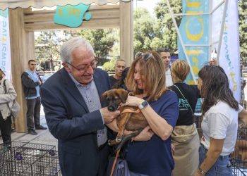 Στην συνέχιση και ενίσχυση του Προγράμματος Διαχείρισης Αδέσποτων Ζώων, με έμφαση στις στειρώσεις, στη σήμανση και καταγραφή στο Εθνικό Μητρώο Ζώων Συντροφιάς (ΕΜΖΣ), στην κτηνιατρική περίθαλψη, στη συνεργασία με εθελοντές και φιλοζωικούς φορείς, καθώς και στην προώθηση αναδοχών και υιοθεσιών, προχωρά ο Δήμος Αμαρουσίου, όπως τονίζει σε σχετική ενημέρωσή του.