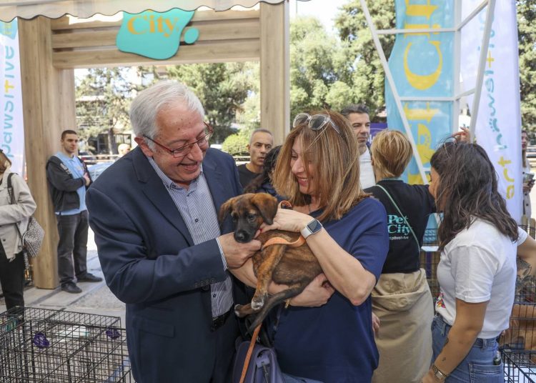 Στην συνέχιση και ενίσχυση του Προγράμματος Διαχείρισης Αδέσποτων Ζώων, με έμφαση στις στειρώσεις, στη σήμανση και καταγραφή στο Εθνικό Μητρώο Ζώων Συντροφιάς (ΕΜΖΣ), στην κτηνιατρική περίθαλψη, στη συνεργασία με εθελοντές και φιλοζωικούς φορείς, καθώς και στην προώθηση αναδοχών και υιοθεσιών, προχωρά ο Δήμος Αμαρουσίου, όπως τονίζει σε σχετική ενημέρωσή του.