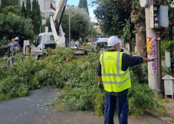 Δήμος Αμαρουσίου: «Συνεχίζεται το πρόγραμμα συντήρησης πρασίνου και ευπρεπισμού στις γειτονιές»