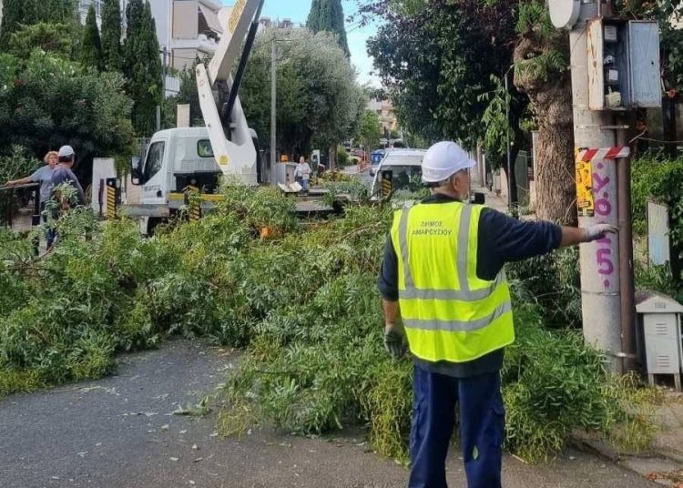 Δήμος Αμαρουσίου: «Συνεχίζεται το πρόγραμμα συντήρησης πρασίνου και ευπρεπισμού στις γειτονιές»