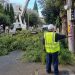 Δήμος Αμαρουσίου: «Συνεχίζεται το πρόγραμμα συντήρησης πρασίνου και ευπρεπισμού στις γειτονιές»