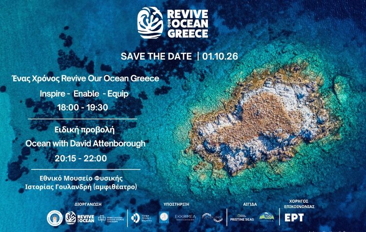 Ένας χρόνος Revive Our Ocean Greece στο Εθνικό Μουσείο Φυσικής Ιστορίας Γουλανδρή