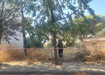 Εκτεταμένες παρεμβάσεις καθαριότητας, πρασίνου και ευπρεπισμού