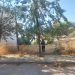 Εκτεταμένες παρεμβάσεις καθαριότητας, πρασίνου και ευπρεπισμού