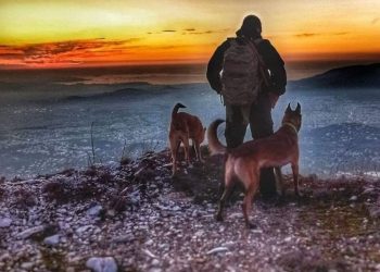 Την απόφαση του Δήμου Πεντέλης να πραγματοποιήσει έξωσή από τον χώρο που χρησιμοποιεί ως βάση της επί της οδού Αγίου Τρύφωνα στην Πεντέλη γνωστοποίησε τη Δευτέρα 31 Αυγούστου η ΑΜΚΕ Anubis Coldcase K9 Team