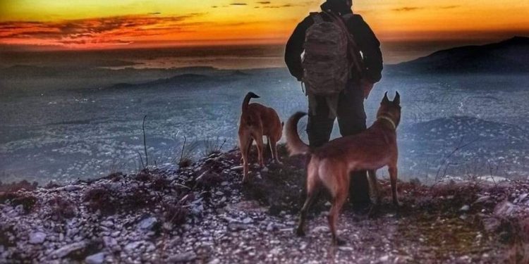 Την απόφαση του Δήμου Πεντέλης να πραγματοποιήσει έξωσή από τον χώρο που χρησιμοποιεί ως βάση της επί της οδού Αγίου Τρύφωνα στην Πεντέλη γνωστοποίησε τη Δευτέρα 31 Αυγούστου η ΑΜΚΕ Anubis Coldcase K9 Team