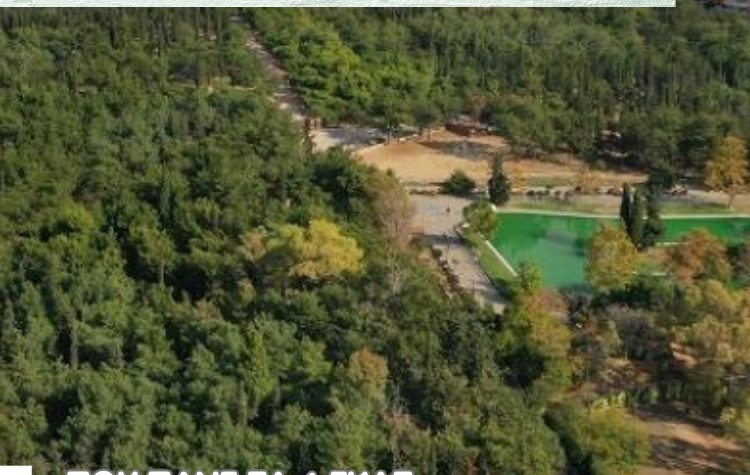 Κοινωνίας Βήμα: «Μόλις το 2,85% του ποσού της Ανάπλασης του Άλσους για το Πράσινο»