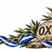 Νέα Φιλαδέλφεια – Νέα Χαλκηδόνα: Το πρόγραμμα της 28ης Οκτωβρίου