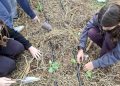 Με επιτυχία ολοκληρώθηκαν οι πρώτες «Ημέρες Ανοιχτών Αγροκτημάτων» από την Περιφέρεια Αττικής