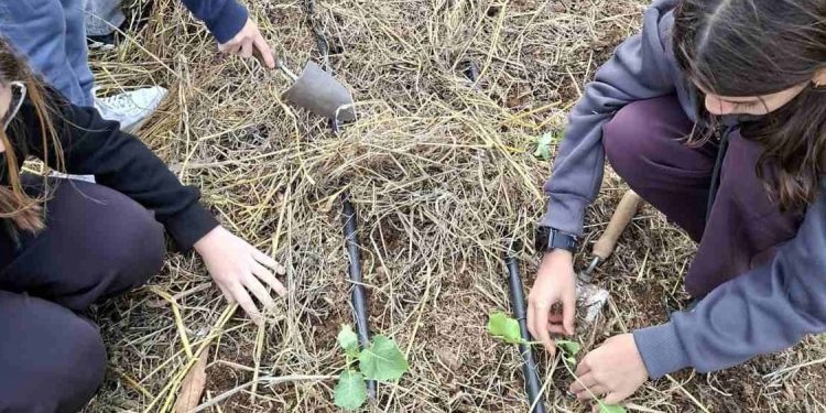 Με επιτυχία ολοκληρώθηκαν οι πρώτες «Ημέρες Ανοιχτών Αγροκτημάτων» από την Περιφέρεια Αττικής