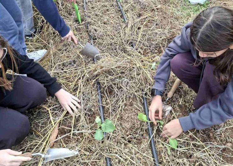 Με επιτυχία ολοκληρώθηκαν οι πρώτες «Ημέρες Ανοιχτών Αγροκτημάτων» από την Περιφέρεια Αττικής