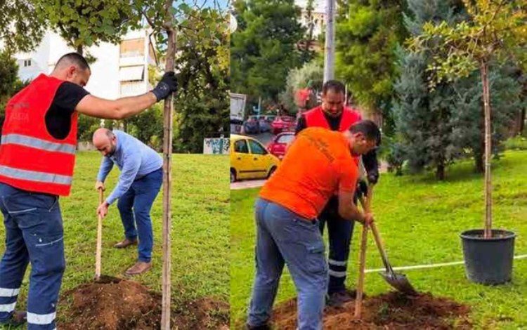 Νέες δενδροφυτεύσεις στις γειτονιές της Λυκόβρυσης και της Πεύκης