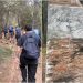 Ζωντανεύουν τα «Μονοπάτια Αναγέννησης της Πεντέλης»