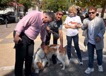 Μηνύματα συμπερίληψης στην επιτυχημένη δράση για την Παγκόσμια Ημέρα Ζώων