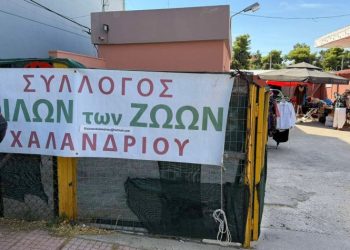 Φίλοι Ζώων: Διήμερο υιοθεσίας και… παζαριού
