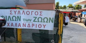 Φίλοι Ζώων: Διήμερο υιοθεσίας και… παζαριού