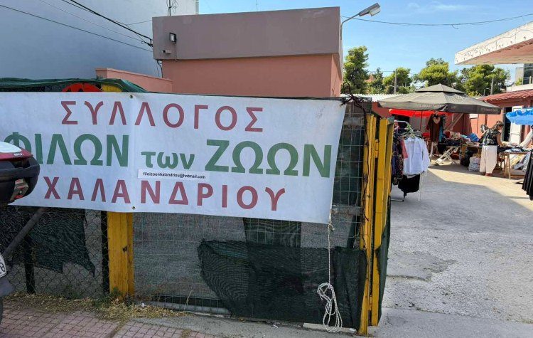 Φίλοι Ζώων: Διήμερο υιοθεσίας και… παζαριού