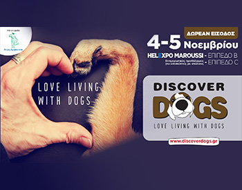 discover dogs amarysia