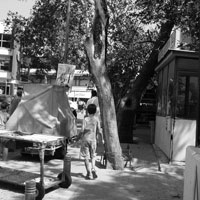 themis2