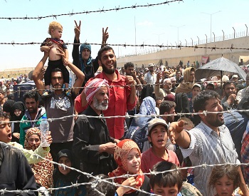 syria1 amarys